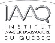 Logo IAAQ